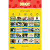 Stages Learning Materials Picture Recognition Bingo Games, Set of all 5 SLM-997